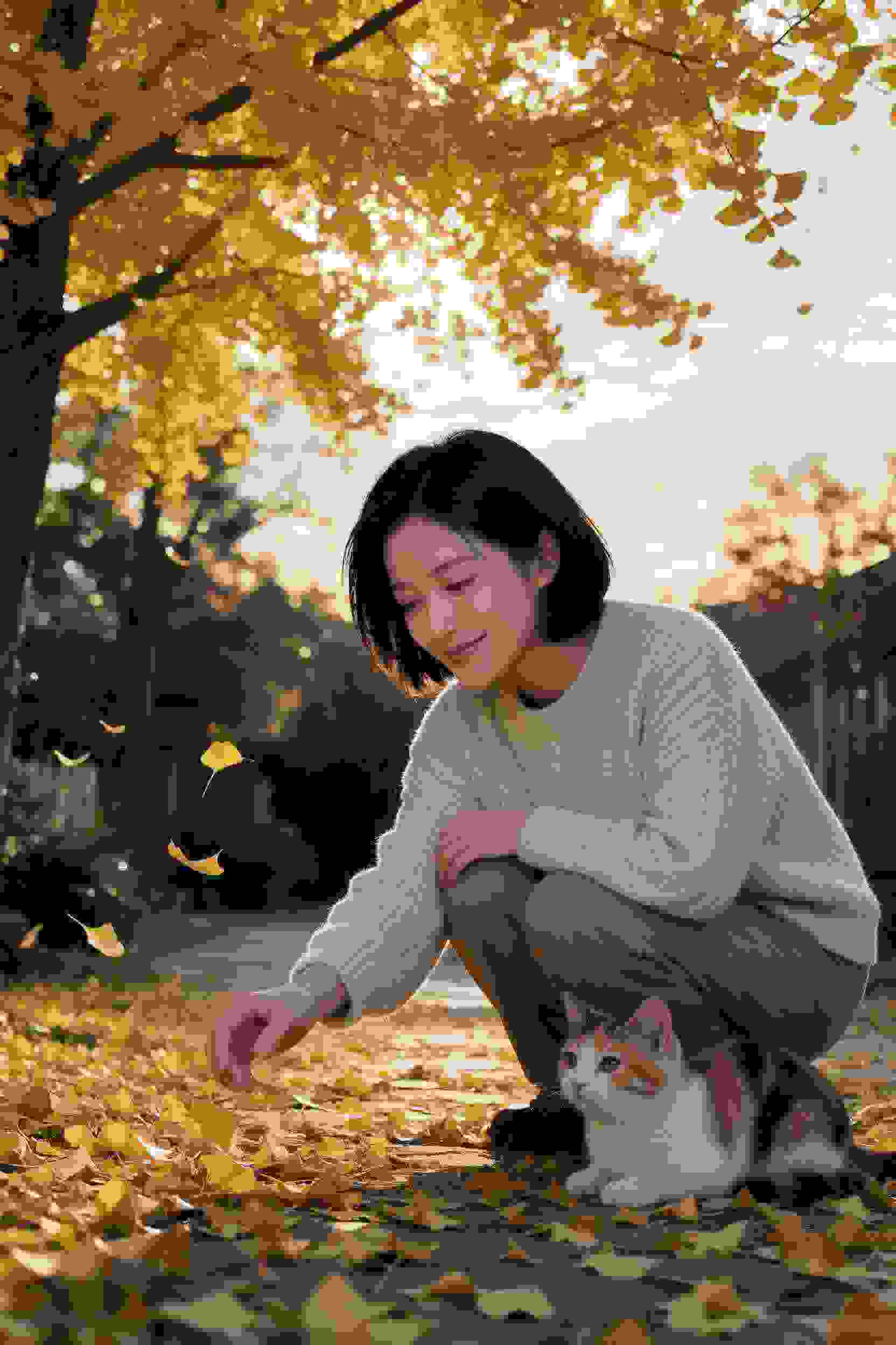 暗夜来客